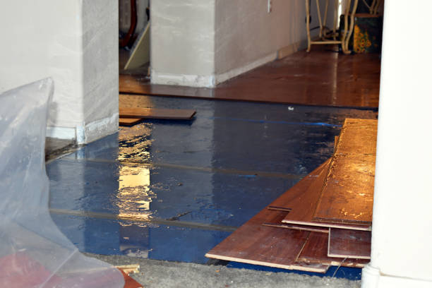 Professional Water Removal technician working in Hunter, ND